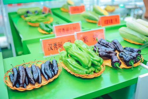 3000余種農作物亮相武漢種博會，端午假期邀市民共赴農業盛宴