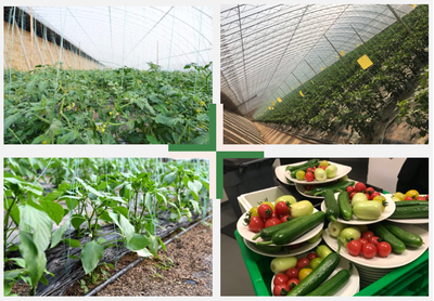智能科技賦能，百譽農業引領園區現代化新篇章