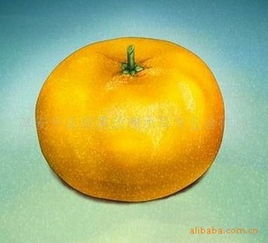 供應杭州淳安千島湖多種農副產品指導價與廠商信息——盡在農苗網，聚焦淳安千島湖黑玫瑰木耳專業合作社